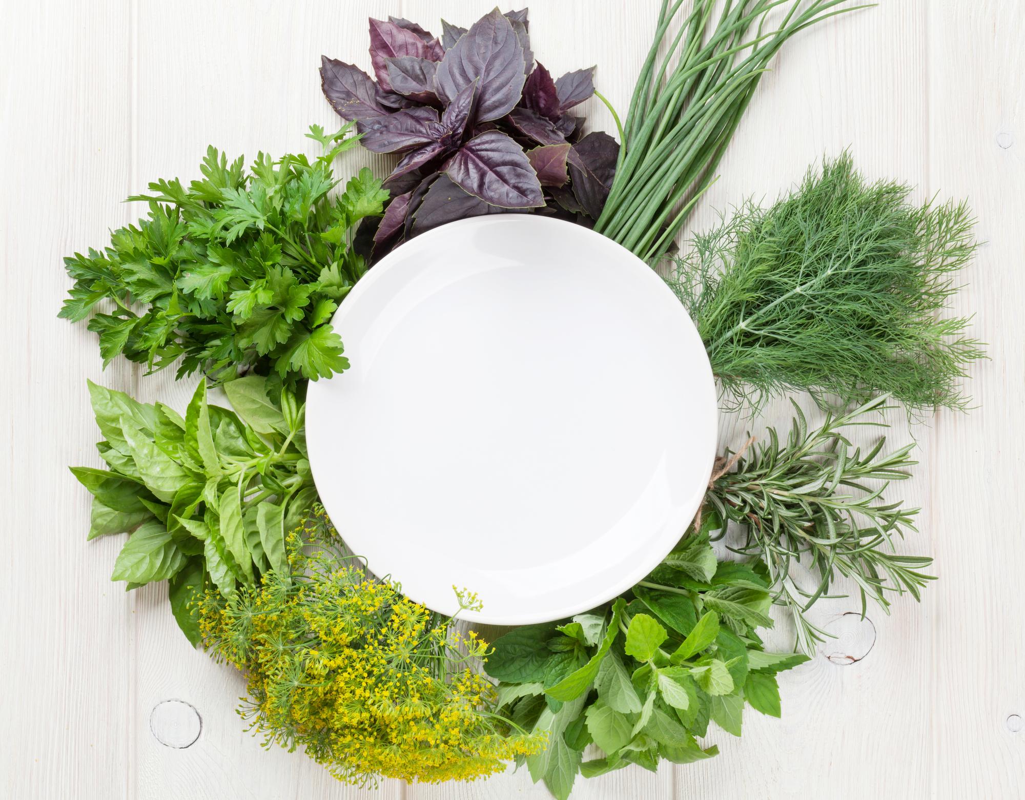 Close-up: herb garnish on composed plate